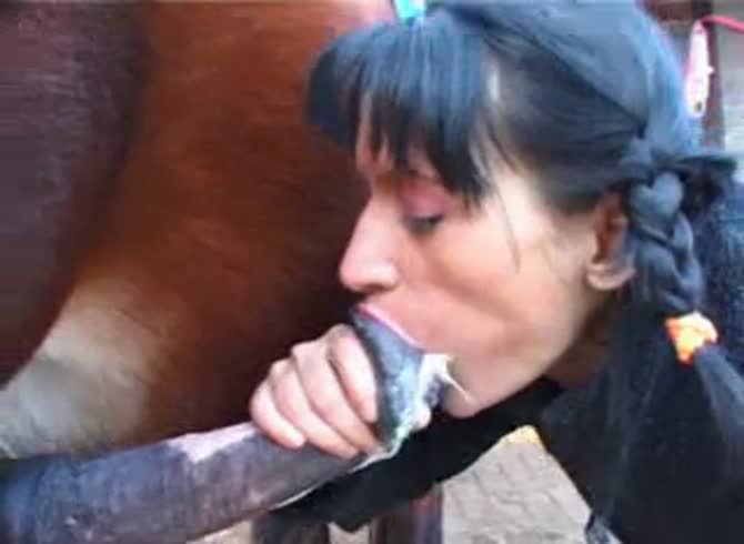 Video :Petite girl makes a horse orgasm by sucking horse dick